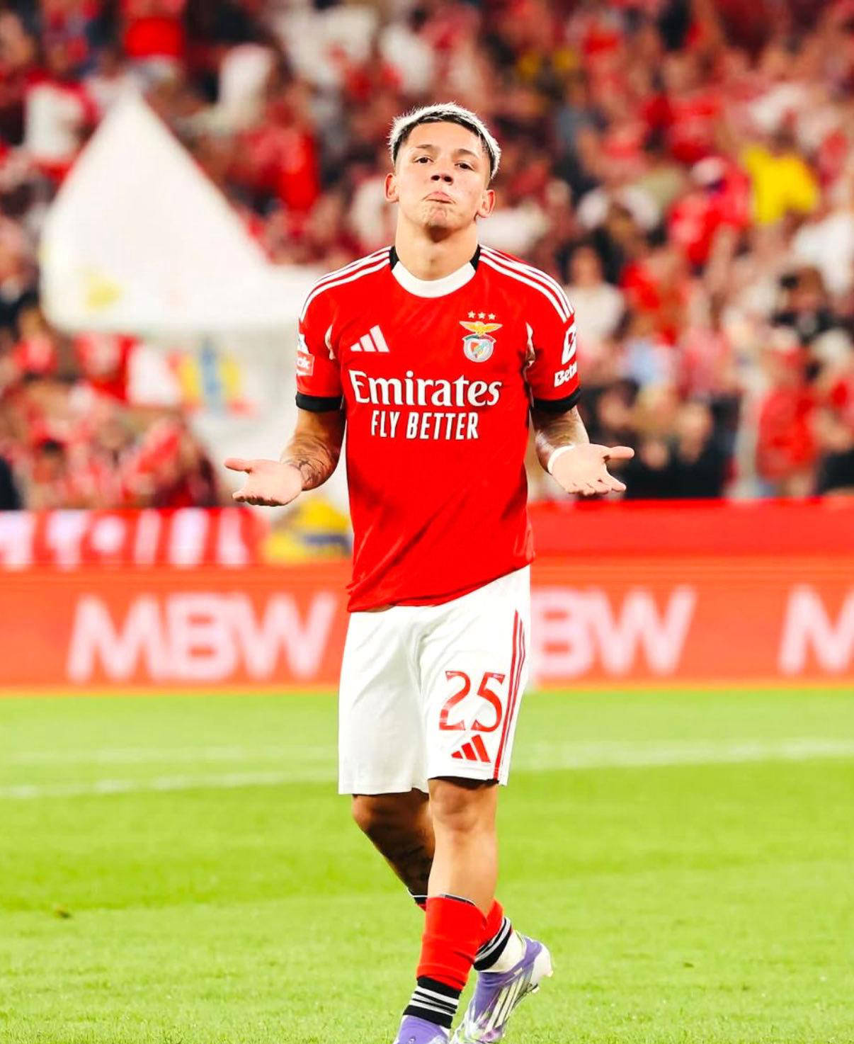 本菲卡迎葡超关键赛,国际比赛日刷新队史纪录,更衣室稳定,赛季目标并未改变的简单介绍 本菲卡迎葡超关键赛,国际比赛日刷新队史纪录,更衣室稳定,赛季目标并未改变的简单介绍