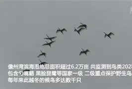 爱游戏中国官网-KQ╡裈{萠?羣勺簿o9
